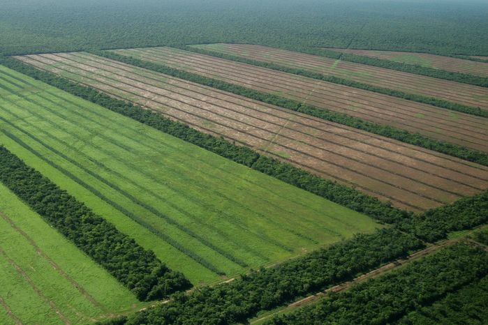 El medio ambiente está de más